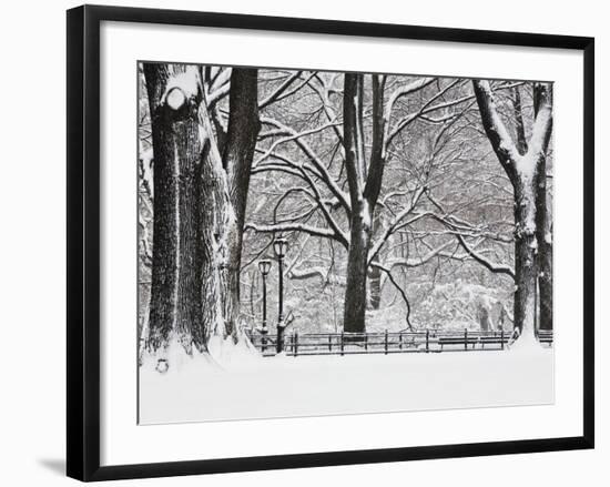 Central Park in Winter-Rudy Sulgan-Framed Photographic Print