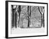 Central Park in Winter-Rudy Sulgan-Framed Photographic Print