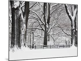 Central Park in Winter-Rudy Sulgan-Mounted Photographic Print