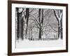 Central Park in Winter-Rudy Sulgan-Framed Photographic Print