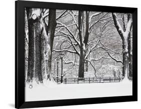 Central Park in Winter-Rudy Sulgan-Framed Photographic Print