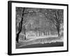 Central Park in Winter-Bettmann-Framed Photographic Print