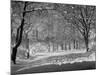 Central Park in Winter-Bettmann-Mounted Photographic Print
