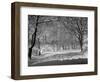 Central Park in Winter-Bettmann-Framed Photographic Print