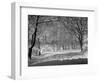 Central Park in Winter-Bettmann-Framed Photographic Print