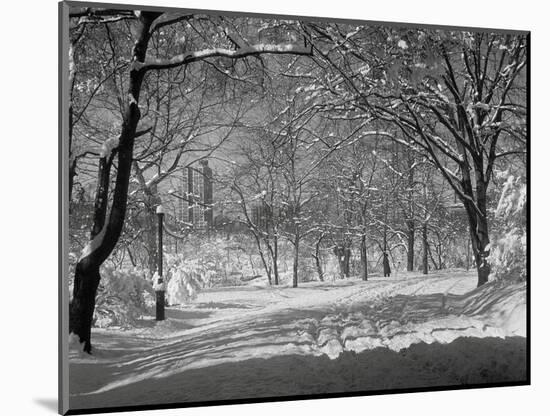 Central Park in Winter-Bettmann-Mounted Photographic Print