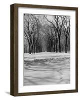 Central Park in Winter-null-Framed Photographic Print