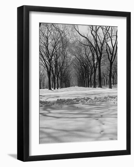 Central Park in Winter-null-Framed Photographic Print