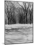 Central Park in Winter-null-Mounted Photographic Print