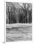 Central Park in Winter-null-Framed Photographic Print