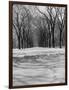 Central Park in Winter-null-Framed Photographic Print