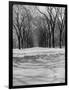 Central Park in Winter-null-Framed Photographic Print