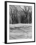Central Park in Winter-null-Framed Photographic Print