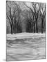 Central Park in Winter-null-Mounted Photographic Print