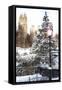 Central Park in Winter-Philippe Hugonnard-Framed Stretched Canvas