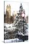 Central Park in Winter-Philippe Hugonnard-Stretched Canvas