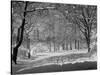 Central Park in Winter-Bettmann-Stretched Canvas