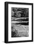 Central Park Jazz-Jeff Pica-Framed Photographic Print