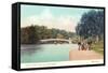 Central Park, Lake and Bow Bridge, New York-null-Framed Stretched Canvas