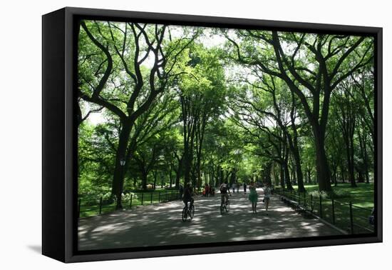 Central Park Mall Summer-Robert Goldwitz-Framed Stretched Canvas