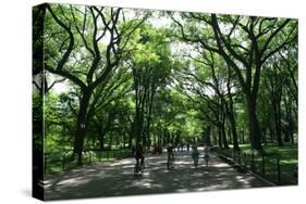 Central Park Mall Summer-Robert Goldwitz-Stretched Canvas