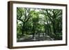 Central Park Mall Summer-Robert Goldwitz-Framed Photographic Print