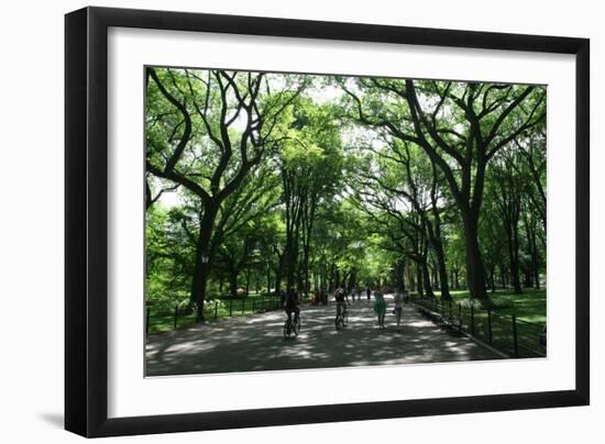 Central Park Mall Summer-Robert Goldwitz-Framed Photographic Print