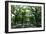 Central Park Mall Summer-Robert Goldwitz-Framed Photographic Print