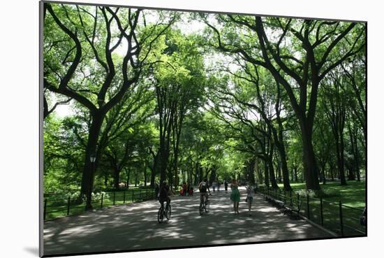 Central Park Mall Summer-Robert Goldwitz-Mounted Photographic Print