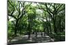 Central Park Mall Summer-Robert Goldwitz-Mounted Photographic Print