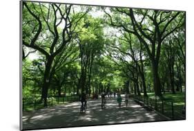 Central Park Mall Summer-Robert Goldwitz-Mounted Photographic Print