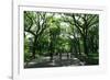 Central Park Mall Summer-Robert Goldwitz-Framed Photographic Print