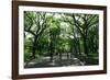 Central Park Mall Summer-Robert Goldwitz-Framed Photographic Print