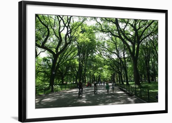 Central Park Mall Summer-Robert Goldwitz-Framed Photographic Print