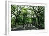 Central Park Mall Summer-Robert Goldwitz-Framed Photographic Print