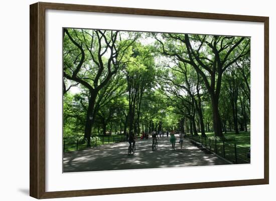 Central Park Mall Summer-Robert Goldwitz-Framed Photographic Print