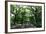 Central Park Mall Summer-Robert Goldwitz-Framed Photographic Print