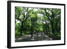 Central Park Mall Summer-Robert Goldwitz-Framed Photographic Print