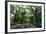 Central Park Mall Summer-Robert Goldwitz-Framed Photographic Print