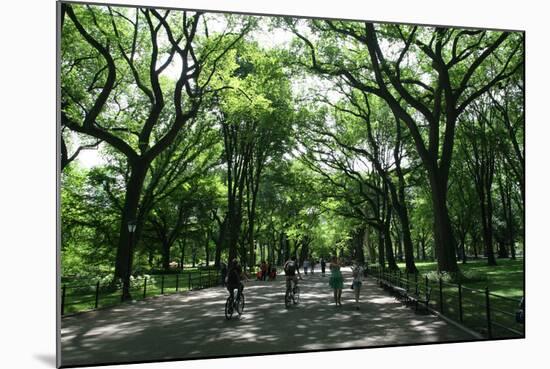 Central Park Mall Summer-Robert Goldwitz-Mounted Photographic Print