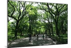 Central Park Mall Summer-Robert Goldwitz-Mounted Photographic Print