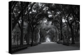 Central Park Mall-RandyHarris-Stretched Canvas