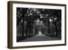 Central Park Mall-RandyHarris-Framed Photographic Print