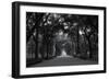 Central Park Mall-RandyHarris-Framed Photographic Print