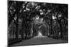 Central Park Mall-RandyHarris-Mounted Photographic Print