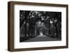 Central Park Mall-RandyHarris-Framed Photographic Print