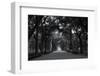 Central Park Mall-RandyHarris-Framed Photographic Print