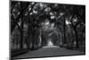 Central Park Mall-RandyHarris-Mounted Photographic Print