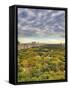 Central Park, Manhattan, New York City, USA-Jon Arnold-Framed Stretched Canvas