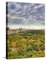 Central Park, Manhattan, New York City, USA-Jon Arnold-Stretched Canvas